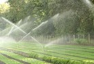 Gnotuklandscaping-water-management-and-drainage-17.jpg; ?>